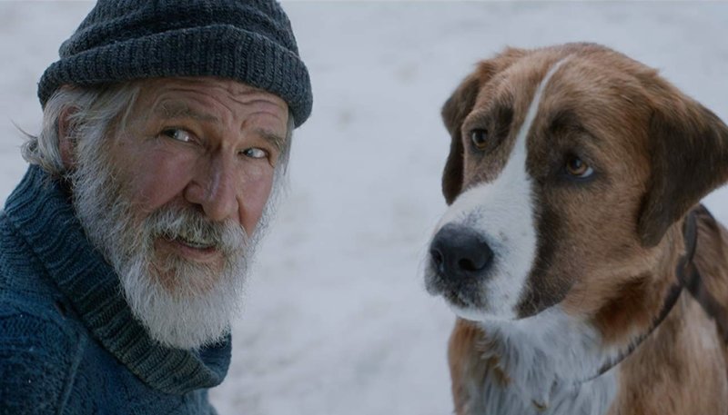 Harrison Ford in "The Call of the Wild." (IMDB)