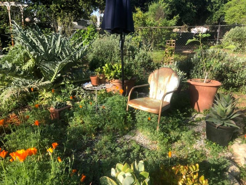 Heather King's garden. (Photos courtesy Heather King)