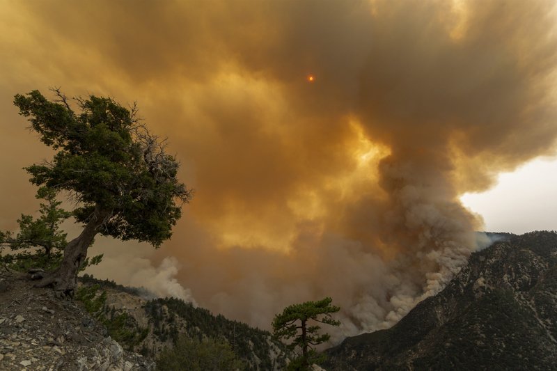 The Bobcat Fire advances in the Angeles National Forest on September 10, 2020 north of Monrovia, California. California wildfires that have already incinerated a record 2.3 million acres this year and are expected to continue till December. The Bobcat Fire has grown to about 24,00 acres, and is 6% contained. (Photo by David McNew/Getty Images)