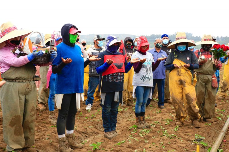 Farmworkers pray during the procession and Mass to begin the pilgrimage of the images of Our Lady of Guadalupe and St. Juan Diego. (David Amador Rivera/Angelus News)