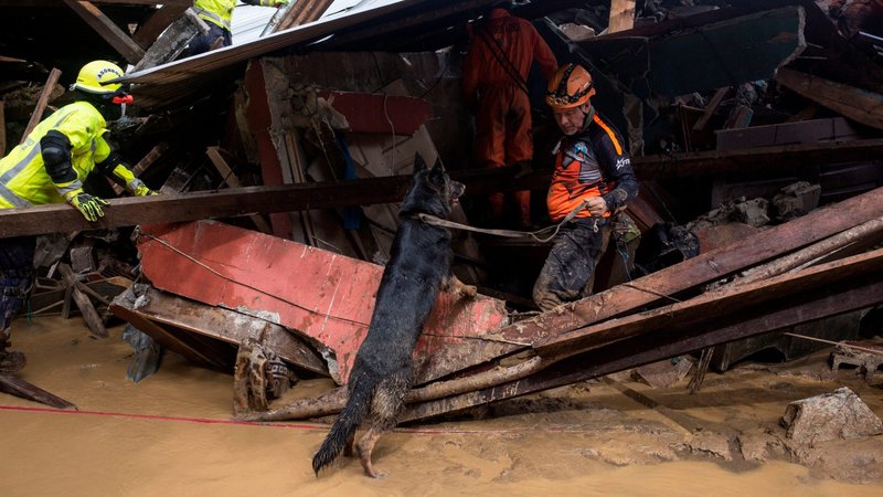 Rescue personnel using a search dog work at an area hit by a mudslide in Queja, Guatemala, Nov. 7, 2020, caused by the remains of Hurricane Eta. (CNS photo/Esteban Bilba pool via Reuters)