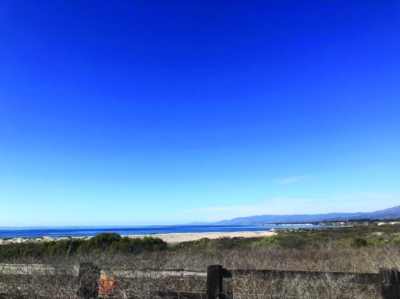 The Coal Oil Point Reserve. (Heather King)