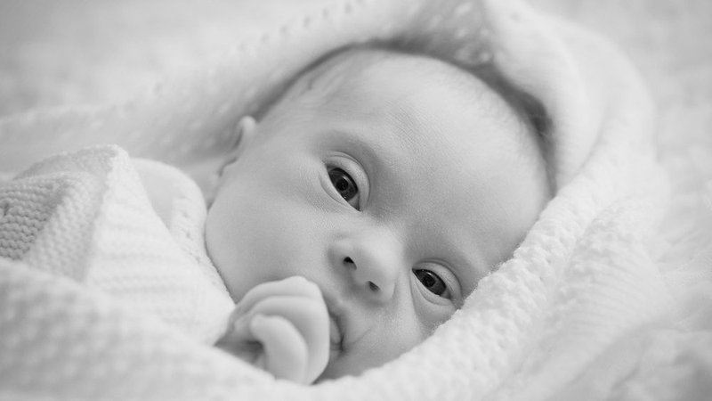 Shutterstock 144941239 e1609950170800