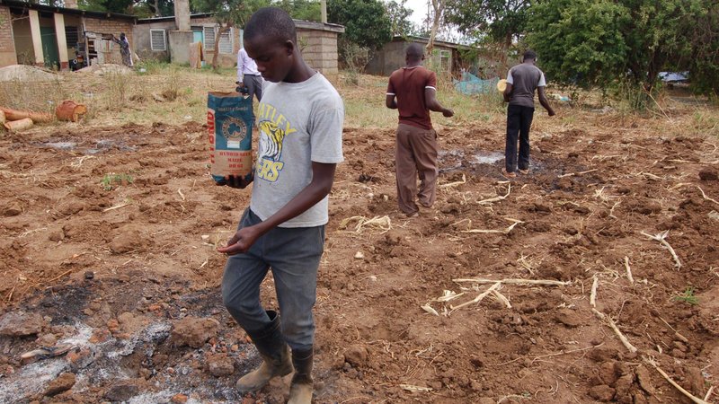 Men plant seeds on a farm on the grounds of Our Lady of Mercy Catholic Church in Machakos, Kenya, March 26, 2017. The farm is where they grow food for the parish and teach the local community about farming. (CNS photo/Fredrick Nzwili)