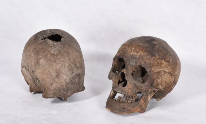 Skulls identified as those of the Welsh Catholic martyrs Philip Evans and John Lloyd. (Stonyhurst College)