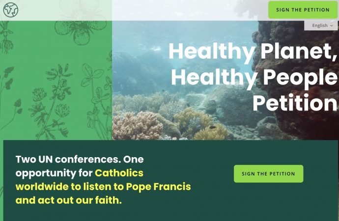 The Global Catholic Climate Movement has launched this petition on the website, thecatholicpetition.org, for Catholics to sign for a "healthy planet, healthy people." The effort comes in advance of a meeting of global leaders this fall for two U.N. conferences -- one on climate change and the other on biodiversity. (CNS photo/Global Catholic Climate Movement website)