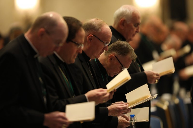 Bishops at the 2019 fall general assembly of the U.S. Conference of Catholic Bishops in Baltimore. (CNS/Bob Roller)
