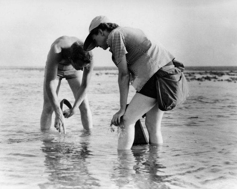Rachel Carson and Bob Hines researching off the Atlantic coast in 1952. (Wikipedia)