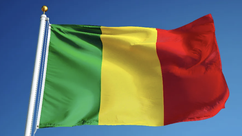 Flag of Mali. (Image via CNA)
