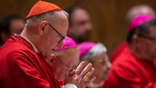 Cardinal Timothy Dolan of New York. (Daniel Ibanez/CNA)