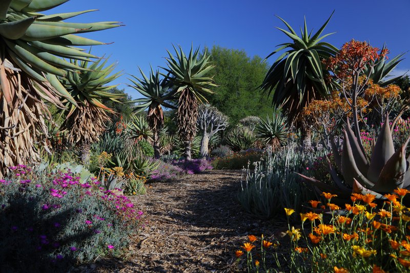 The Taft Gardens and Nature Preserve in Okai, California. (Joseph Sohm/Shutterstock)