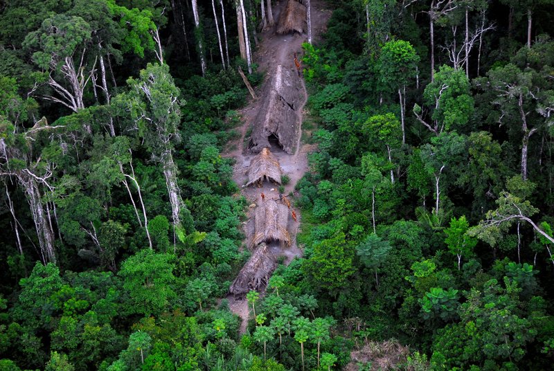 The Brazilian bishops' Indigenous Missionary Council fears that at least five isolated Indigenous groups, similar to this one, are in imminent risk of being exterminated in the Amazon forest. (CNS photo/Gleilson Miranda, courtesy FUNAI)