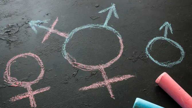 Gender Ideology