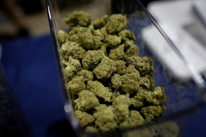 marijuana
