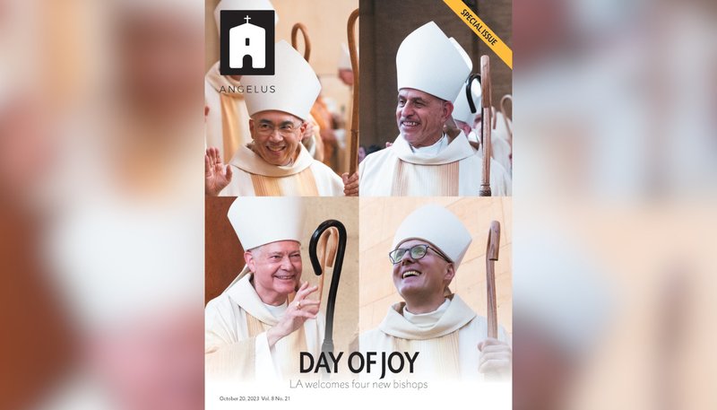 Cover Web