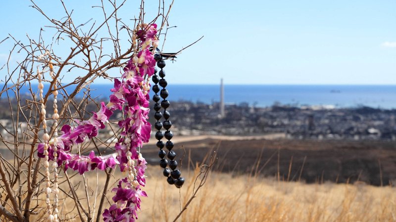 A makeshift memorial hangs on a tree overlooking burned houses and buildings in Lahaina, Hawaii, Aug. 12, 2023. (OSV News/Sandy Hooper, USA Today Network via Reuters)