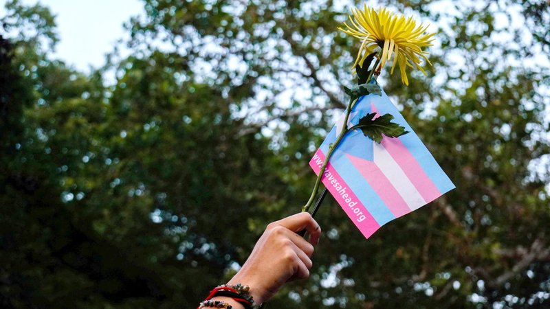 A person holds a transgender pride flag and a flower during a protest in New York City May 31, 2023. The Catholic Medical Association in an Aug. 15, 2024, statement applauded the American Society of Plastic Surgeons for recent statements questioning "gender-affirming" interventions in teens, based on an increasing recognition of "low-quality" scientific and medical evidence regarding the impact of the treatments. (OSV News photo/Amr Alfiky, Reuters)