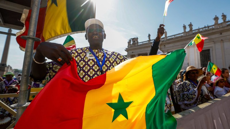 Visitors waving the flag of Senegal greet Pope Francis in St. Peter's Square at the Vatican during his weekly general audience Aug. 28, 2024. (CNS/Lola Gomez)