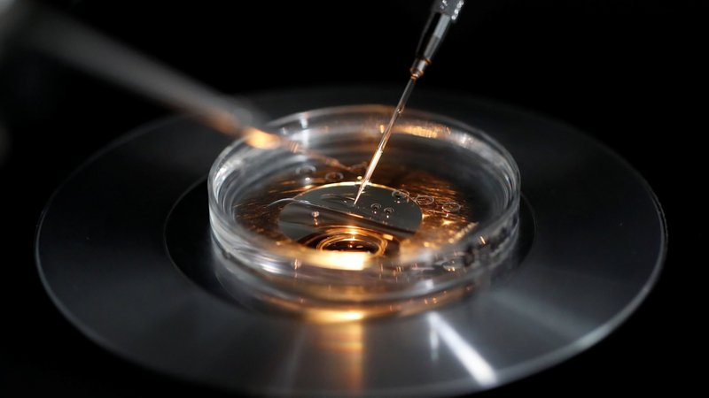 A medical lab technologist operates an embryo vitrification during an intra cytoplasmic sperm injection process (ICSI) at a laboratory Sept. 13, 2019. (OSV News photo/Christian Hartmann, Reuters)