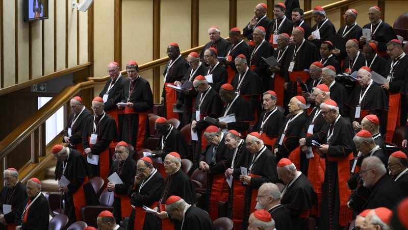 Cardinals gather in the New Synod Hall at the Vatican for their fifth general congregation meeting April 28, 2025. (CNS photo/Vatican Media)