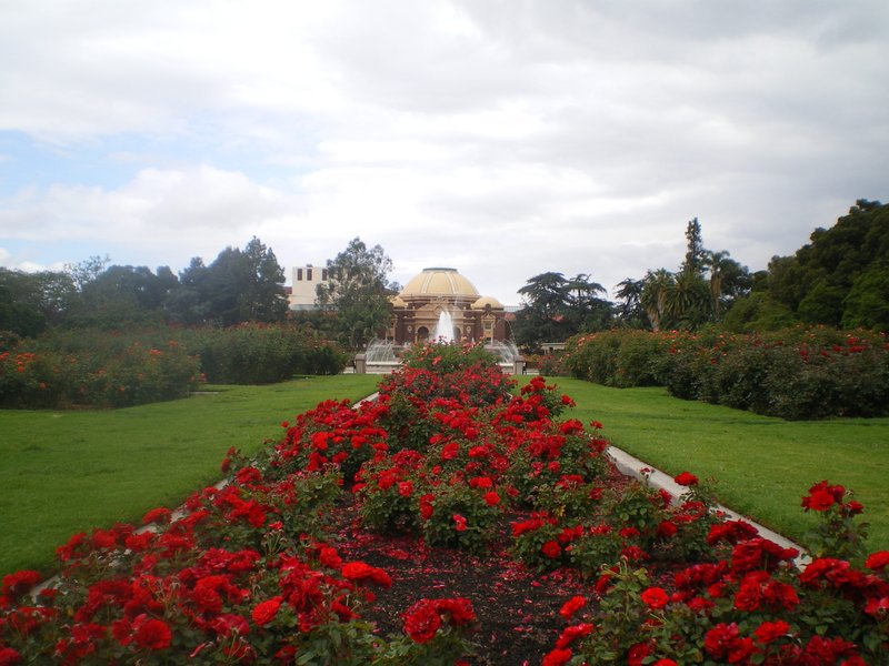 Exposition Park Rose Garden (Wikipedia)