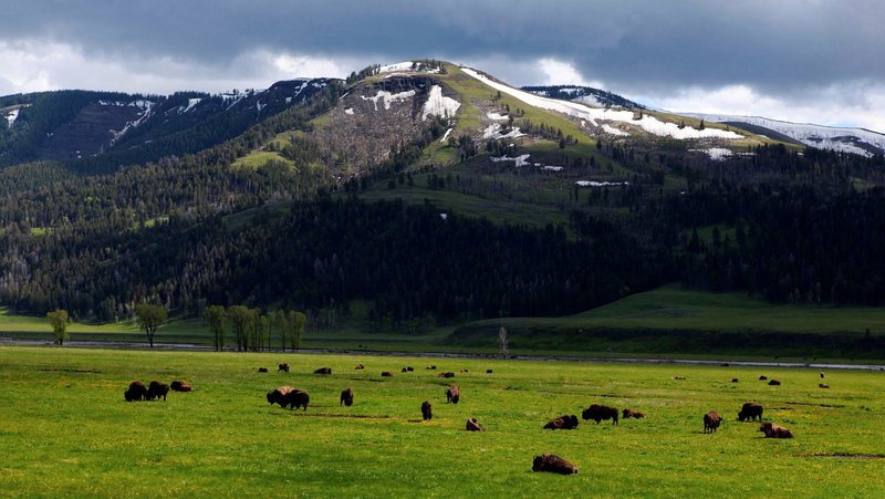 The "Pilgrims of Hope for Creation" have taken 230 local treks in 35-plus states to "encounter Christ in Creation."(OSV News photo/Jim Urquhart , Reuters)