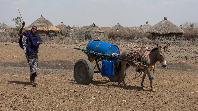 A woman walks near her donkey cart transporting a barrel of water in the drought-stricken area of Higlo Kebele, Ethiopia, Feb. 8, 2022. As Lent starts Feb. 18, 2026, Catholic Church leaders in Eastern Africa are calling for increased attention on the millions of people suffering and needing relief aid, as a severe drought marches on in the region. (OSV News photo/Michael Tewelde, World Food Program via Reuters)