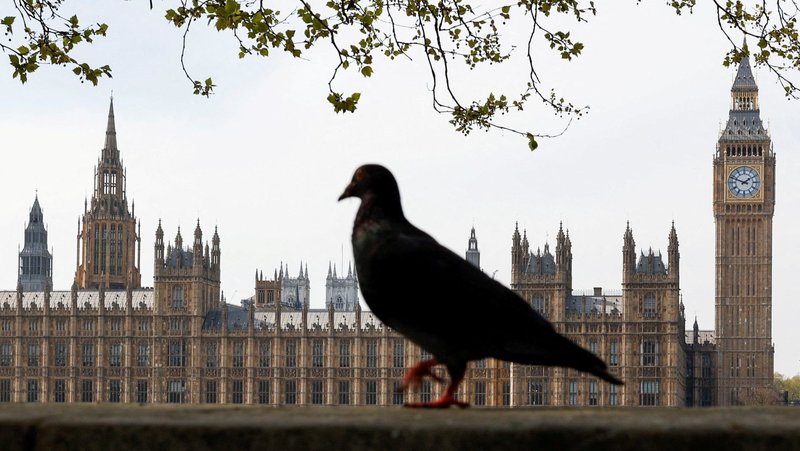 A bird walks near the Houses of Parliament in London April 12, 2025. Archbishop John Sherrington of Liverpool, the lead bishop for life issues of the bishops' conference of England and Wales, called on Catholics Sept. 1, 2025, to write to members of the House of Lords to urge them to oppose an assisted suicide bill which could trigger the closure of church-run hospices and care homes. (OSV News photo/Carlos Jasso, Reuters)