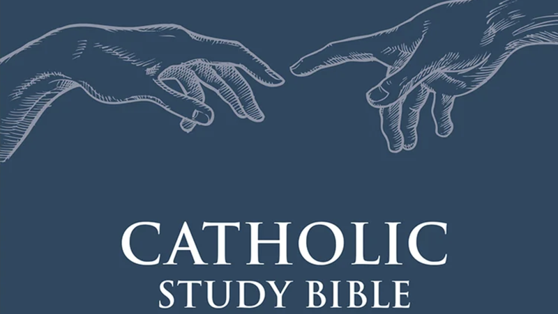 A detail of the cover for Father Spitzer's "Science, Reason, and Faith Study Bible." (Amazon)