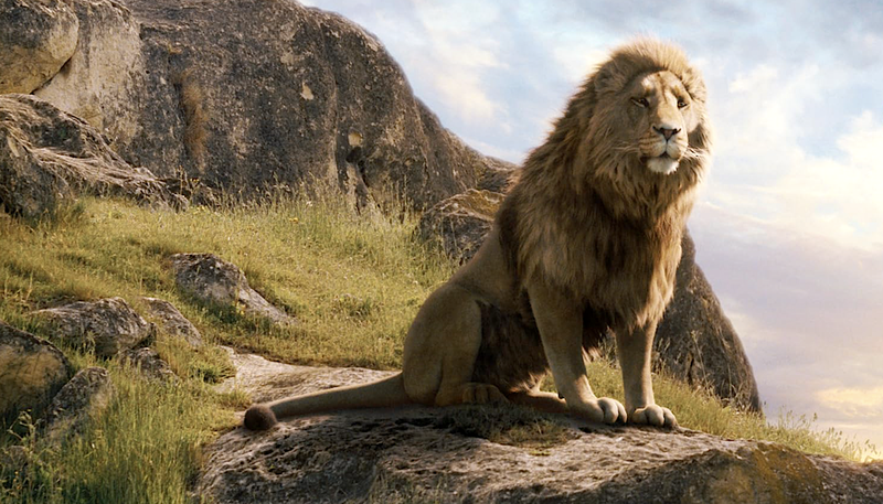 Aslan, voiced by Liam Neeson, as depicted in the 2005 film adaptation of "The Chronicles of Narnia: The Lion, the Witch and the Wardrobe." (IMDB)