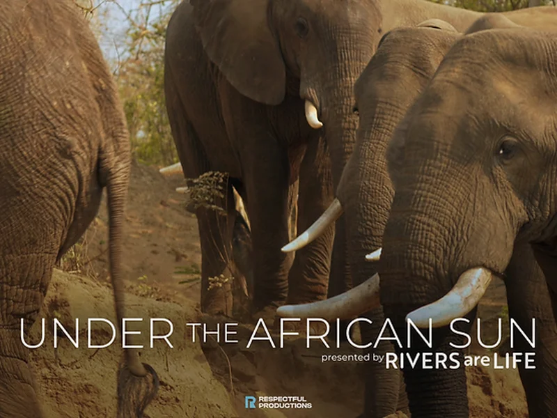 Rivers are Life Premiered 'Under the African Sun' Solving Zimbabwe's Clean Water Crisis