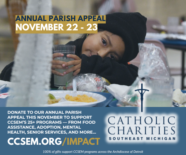 CCSEM: November Article Sidebar CCSEM: November Article Sidebar