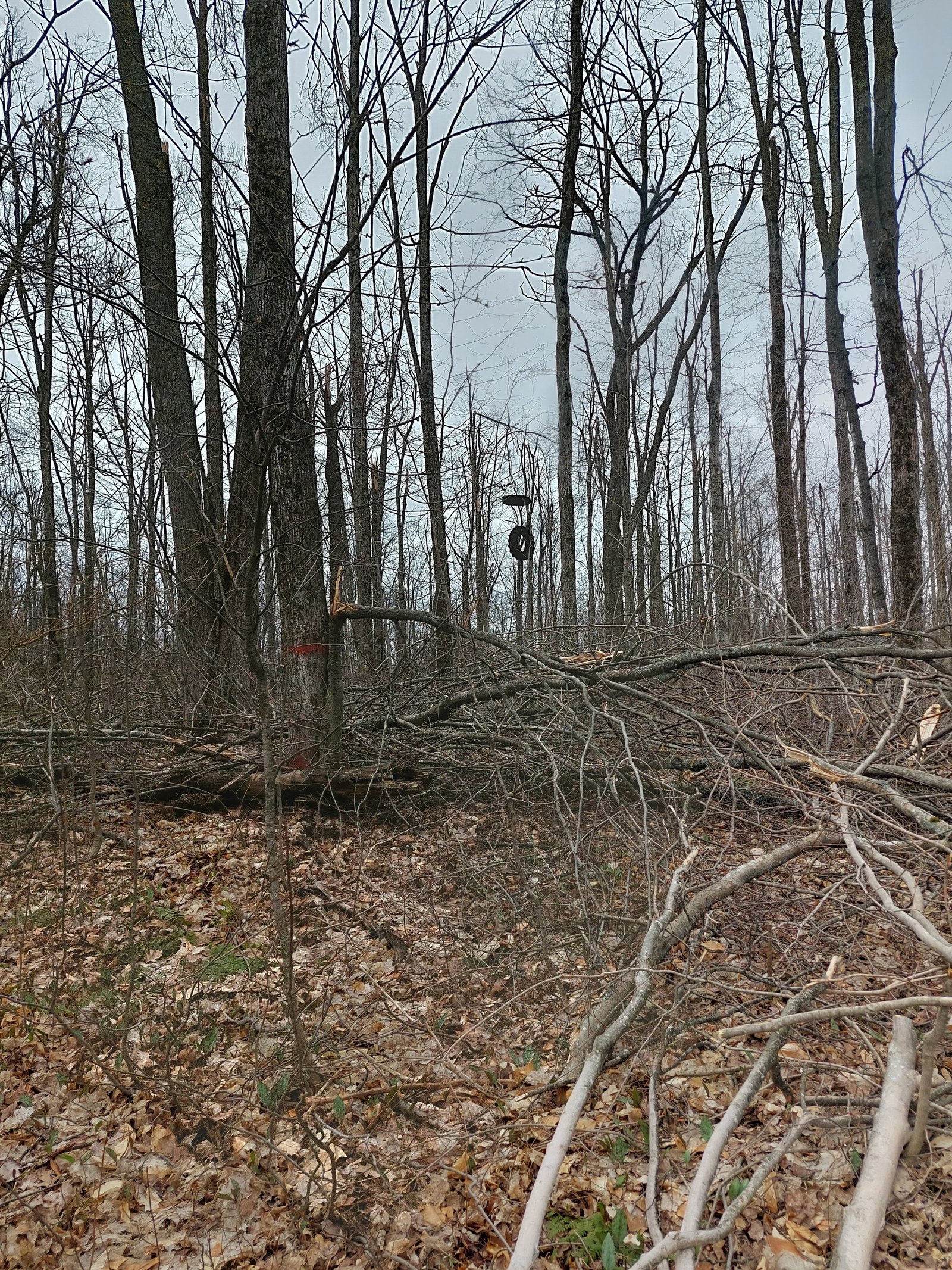 Last year, northern Michigan ice storms irreparably damaged the existing ropes course at Camp Sancta Maria. The new course is part of recent renovations to the camp.