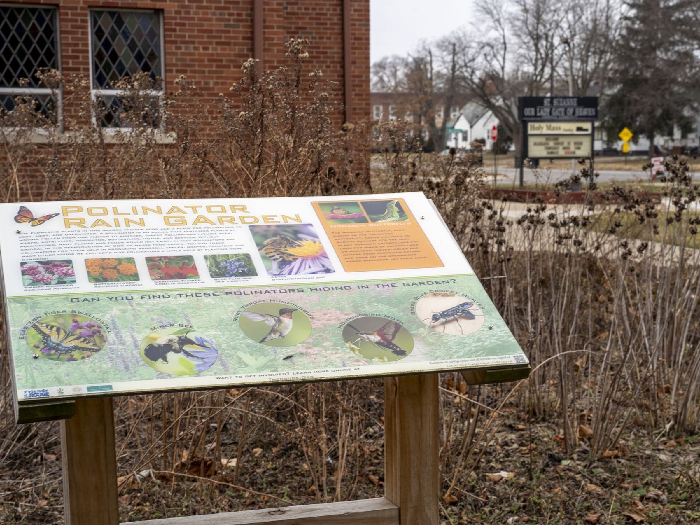 Local Catholics reflect on 'Laudato Si',' Pope Francis' environmental