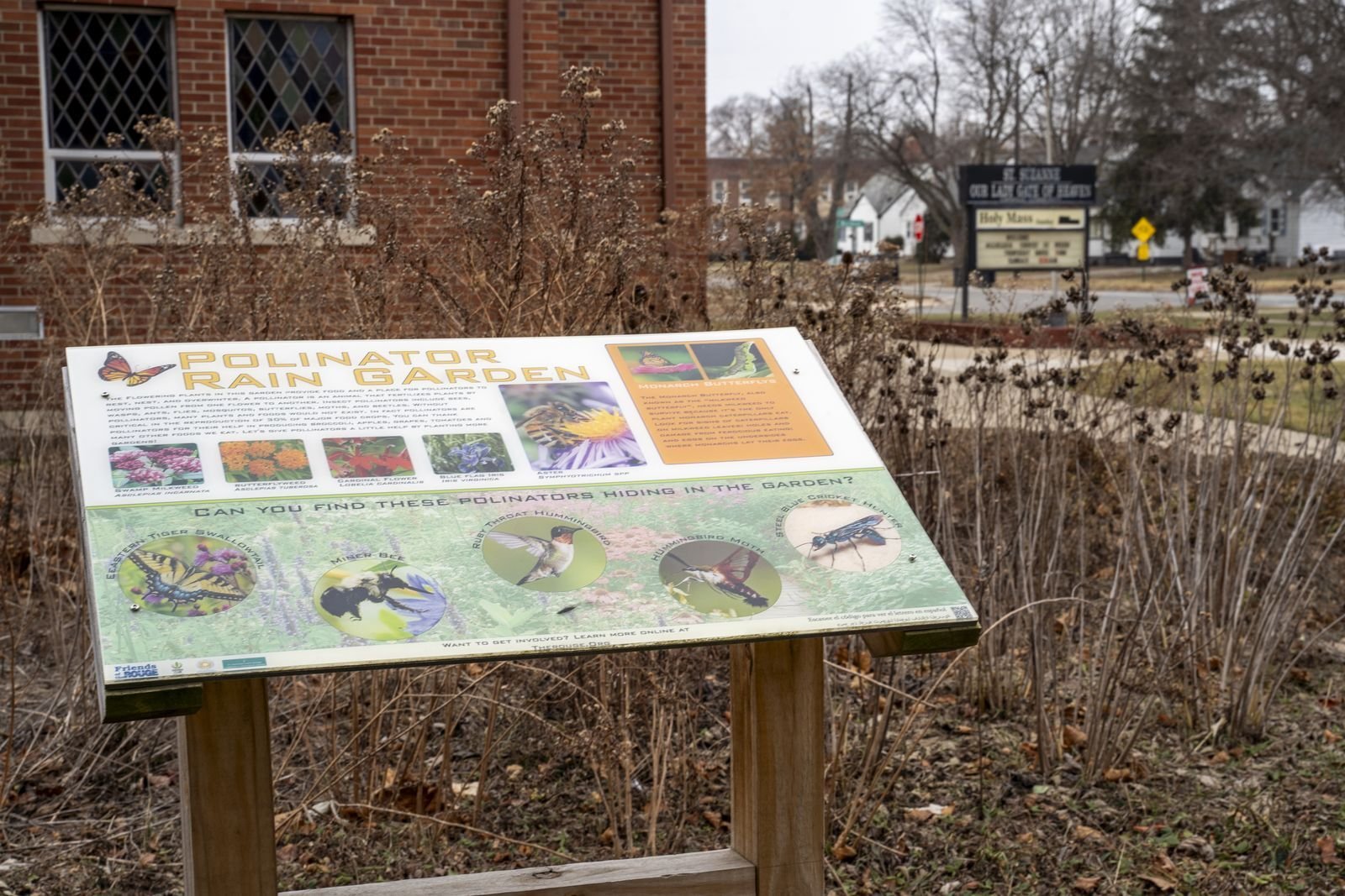 The St. Suzanne Cody Rouge Community Resource Center in Detroit has turned to Pope Francis' 2015 encyclical, "Laudato Si'," as its guidepost to better serving its neighborhood by implementing sustainable, environmentally friendly infrastructure. (Photo by Valaurian Waller | Detroit Catholic)