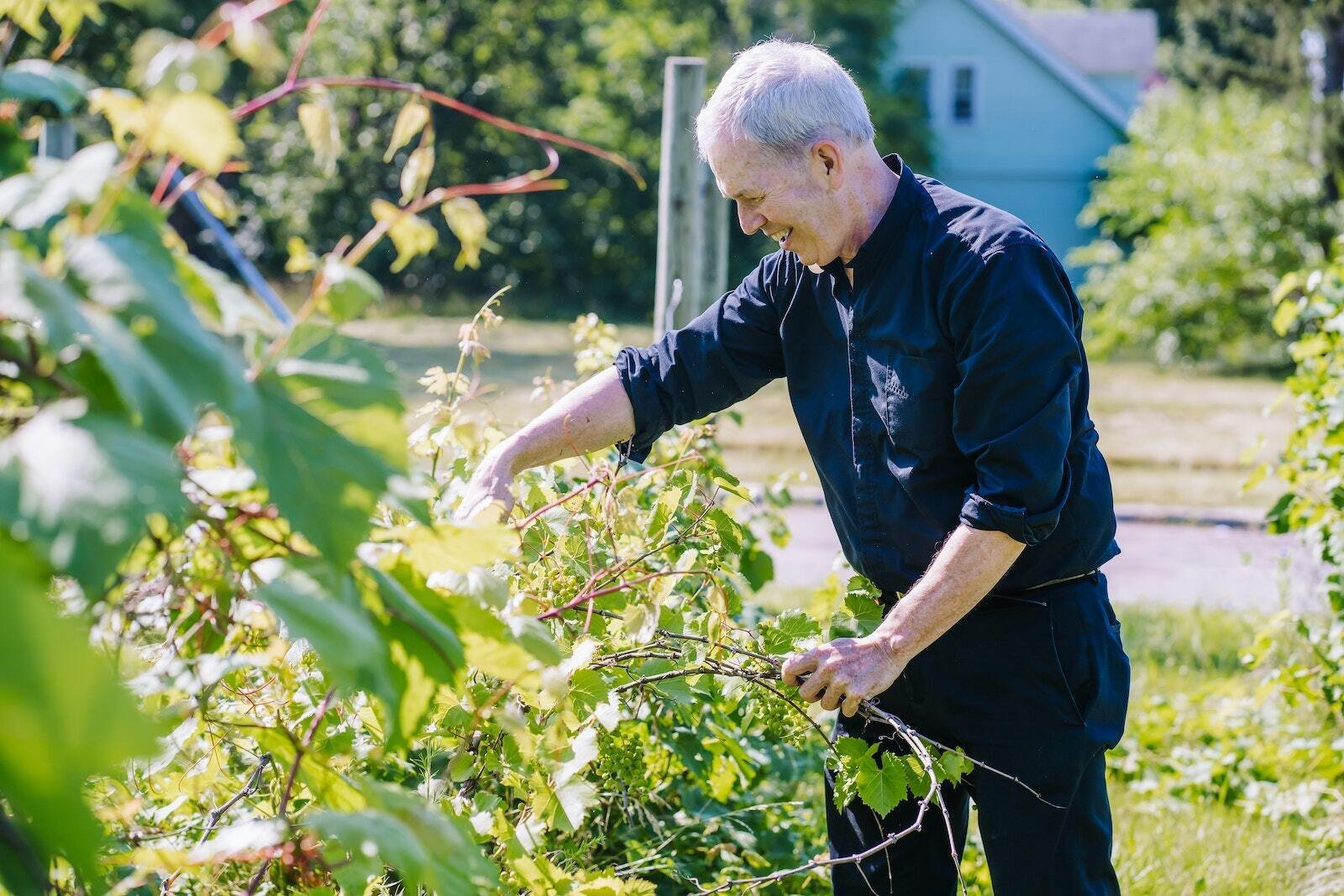 A humble worker in Christ's vineyard — and a literal worker in a vineyard he helped cultivate on Detroit's east side — Msgr. Trapp's heart for others extended to every project, every homily and every person he encountered, Williams-Trice said. But most of all, he sought to leave an impression of God's love upon those whose lives he touched. (Valaurian Waller | Detroit Catholic)