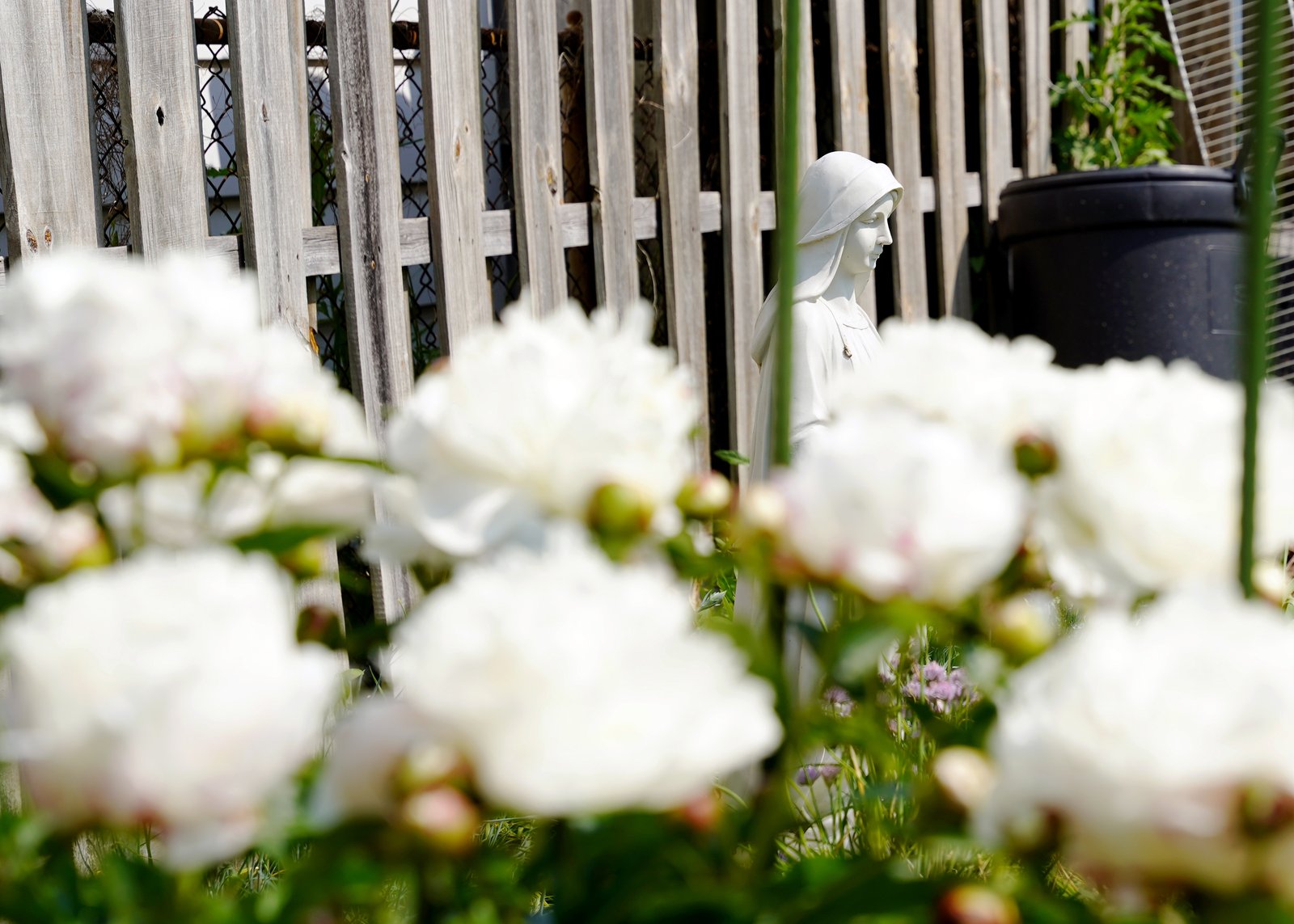 The most recent addition to Veridiano-Powell’s personal garden is a small Marian garden, which she established after her mother passed away.