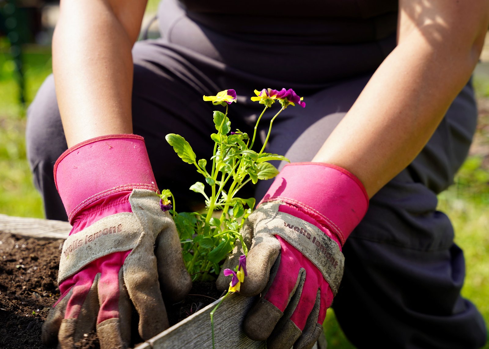 The mission of Veridiano-Powell’s “Your Dream Garden” business is to help her customers view “gardening as a way of life” and not just another obstacle or chore to tackle.