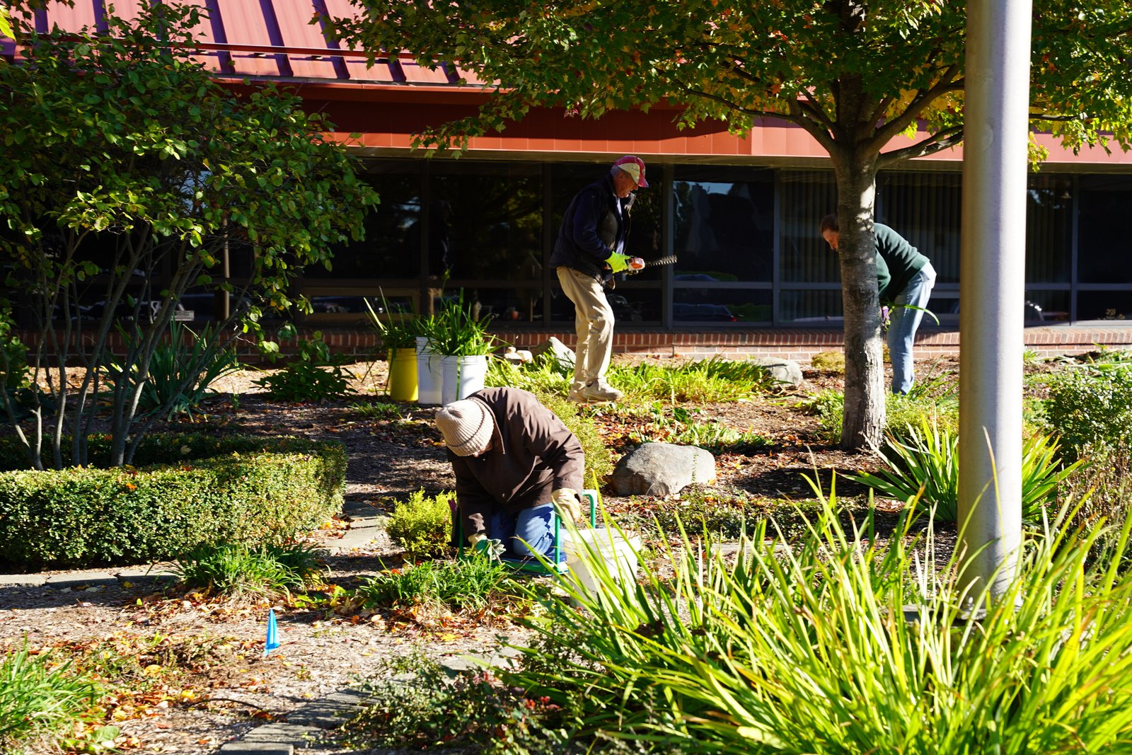 St. Michael volunteers pull weeds, trim shrubs, gather leaves and do additional cleanup of the parish campus. (Maggie Sicilia | Detroit Catholic)