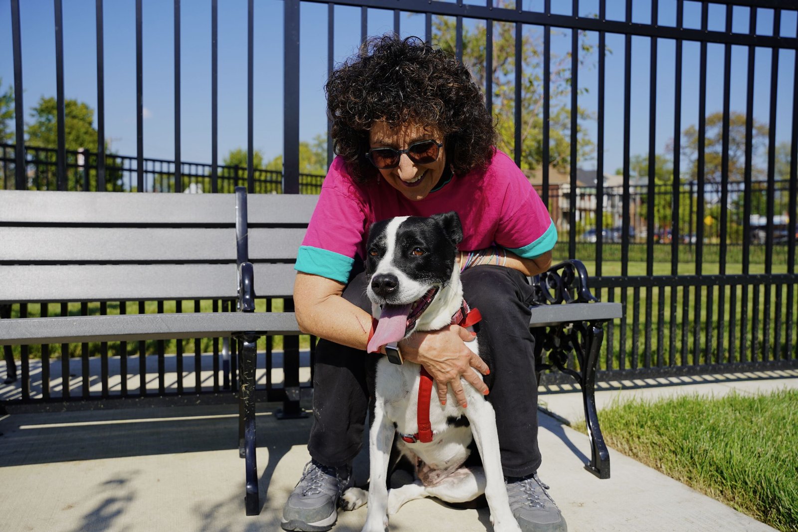 The gated park features benches, open grass and an inviting landscape for community members to bring their pets for companionship, exercise and camaraderie.