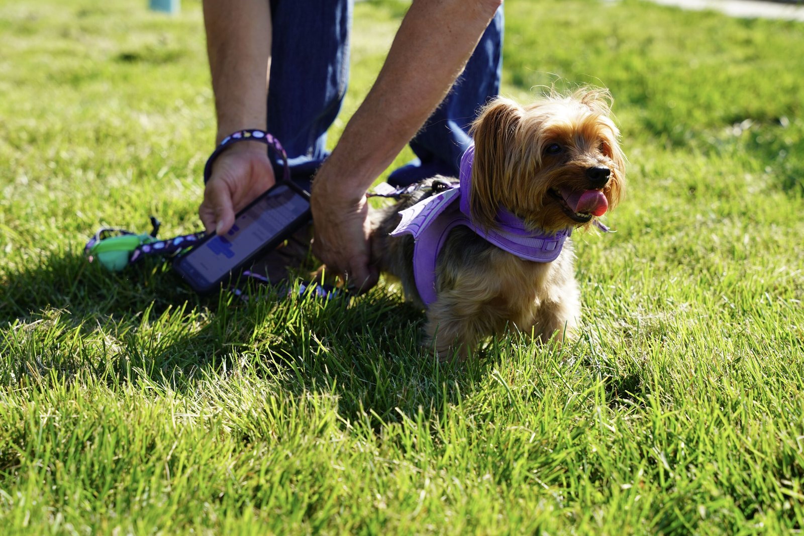 Michael Porreca's dog, Puddles, takes in the sights and sounds of the new Holy Paws Dog Park.