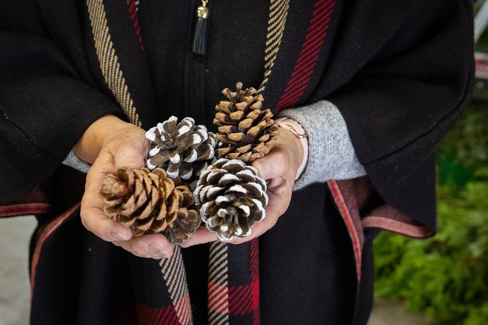 Catherine Genovese holds some of the decorative pinecones the farm sells during the Christmas season. In addition to trees, Candy Cane Christmas Tree Farm also offers customized wreaths and garland, cross-shaped pine decorations and tree stands.