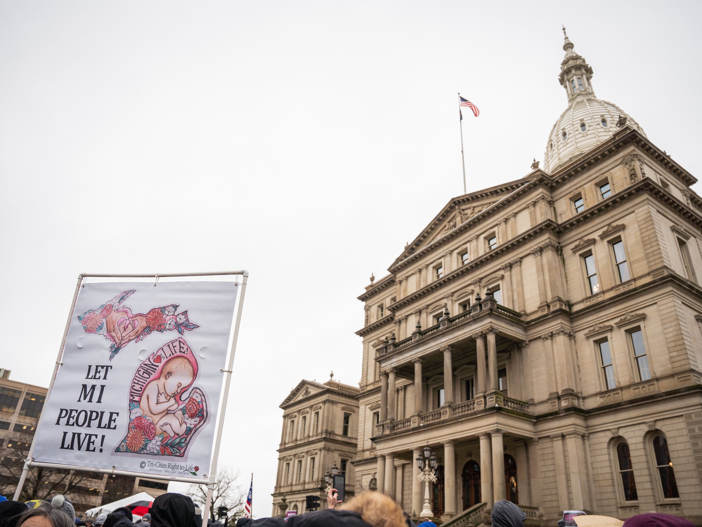 Still marching: Thousands from across state rally in first Michigan ...