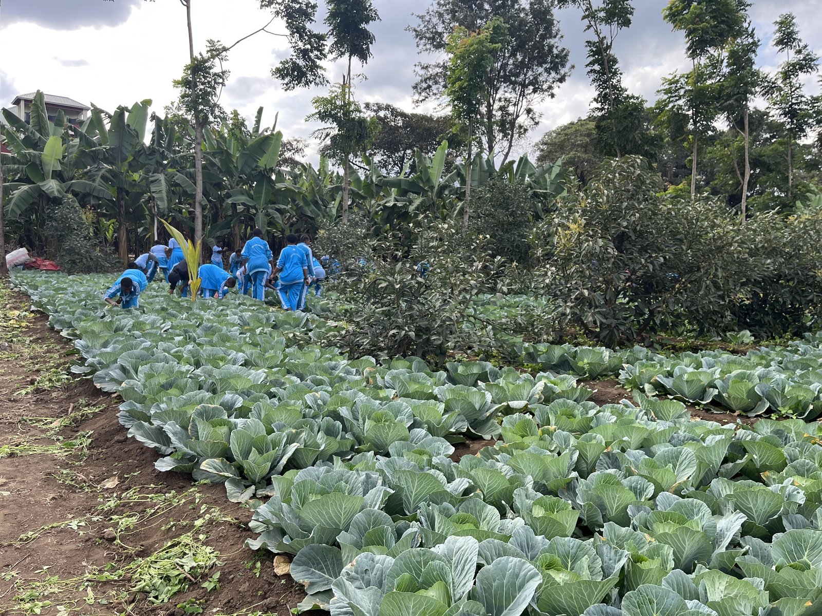 At one school where St. Joseph’s Wells installed a water well, enrollment increased from 500 to 1,400, adding three new dormitories, a farm and a banana plantation – all because there is now water on site.