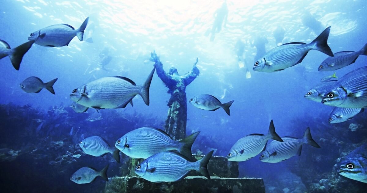 Vatican calls attention to people who work in fishing industry