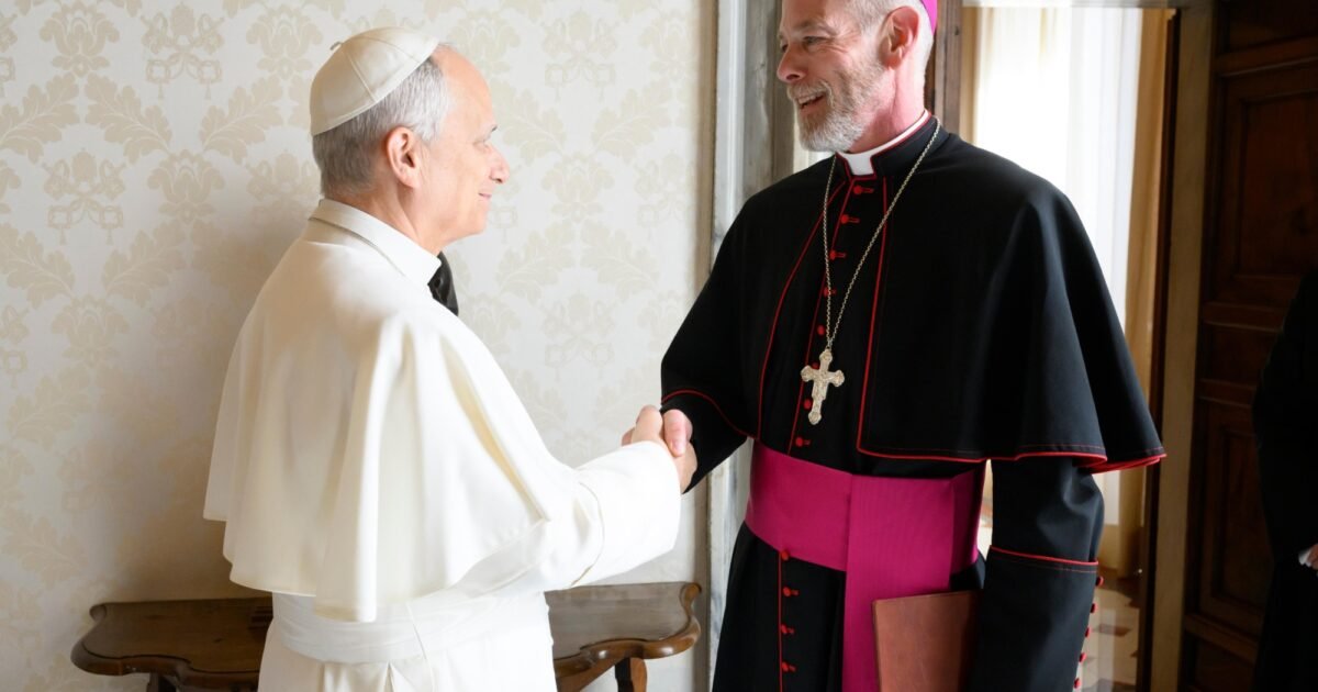 Pope supports solidarity with immigrants in US, Catholics must stand together, archbishop says