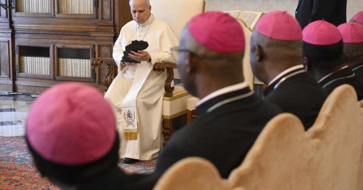 Cardinal warns against 'quick-fix' airstrikes as Nigerian bishops meet Pope Leo XIV