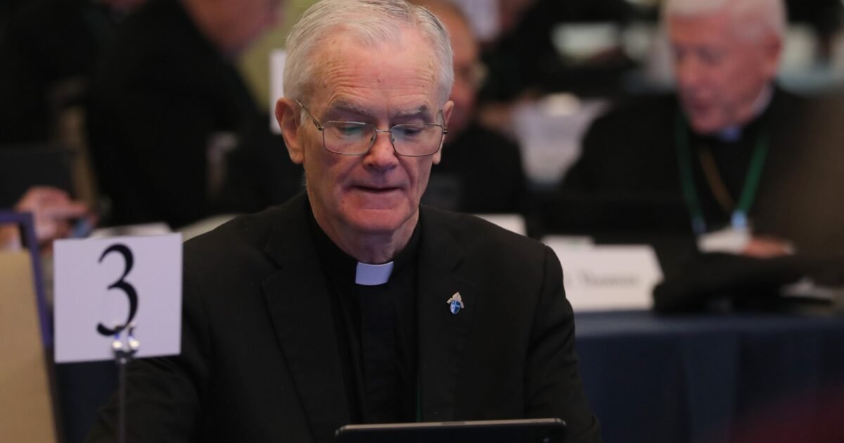 U.S. bishops thank pope for encyclical and shining 'light of Gospel' on AI, tech advances