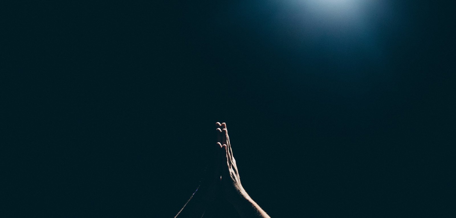 Foto de Amaury Gutierrez en Unsplash