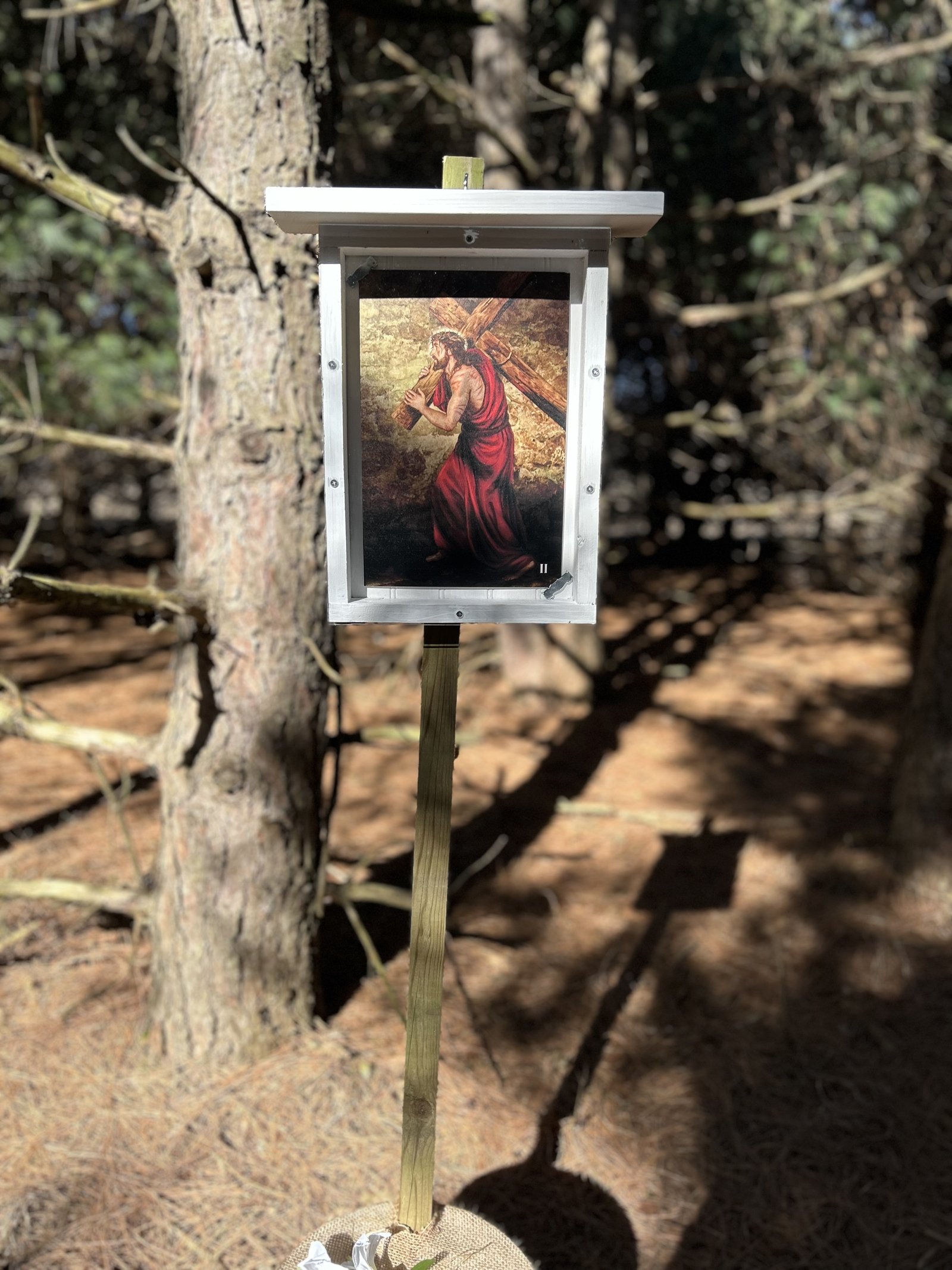 The Stations of the Cross project was undertaken by members of SS. Peter and Paul Parish's youth ministry, led by Val Bader, the parish's youth ministry director.